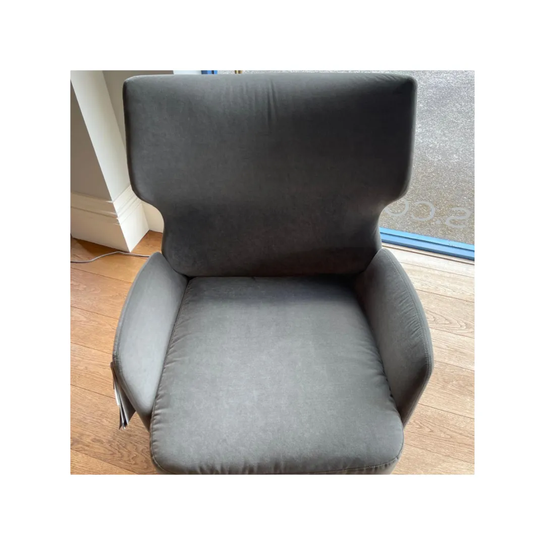 Alex Armchair in Classic Velvet 3 Grey Beige Discolouration