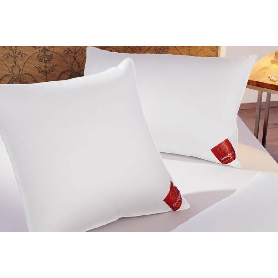 Brinkhaus Down Surround Pillow by Brinkhaus