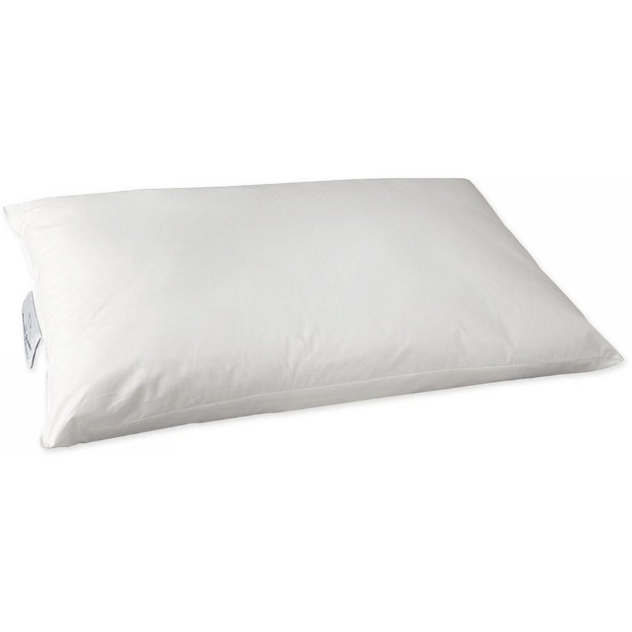 Devon Duvets Original Wool Pillow by Devon Duvets