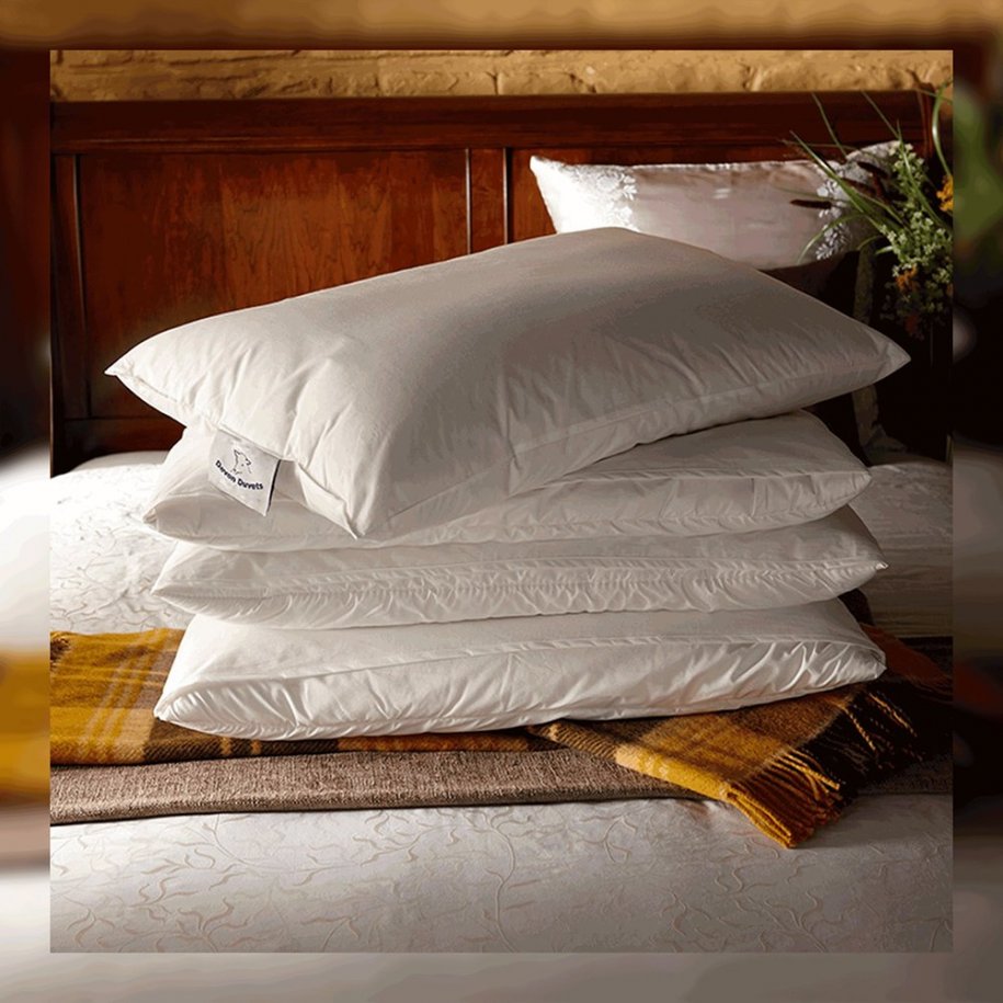 Devon Duvets 3 Fold Wool Pillow by Devon Duvets