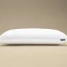Hypnos High Profile Latex Pillow