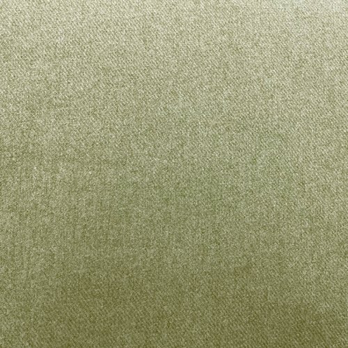 Sage 0433