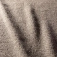 Linen 2 Flax